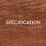 SPECIFICATION